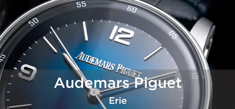  Audemars Piguet Erie