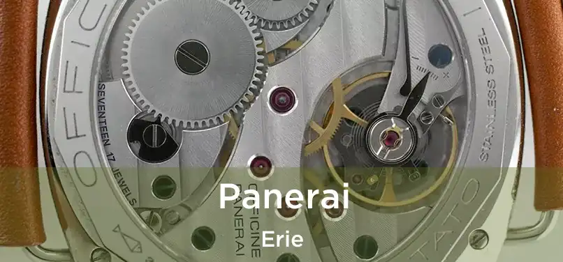  Panerai Erie