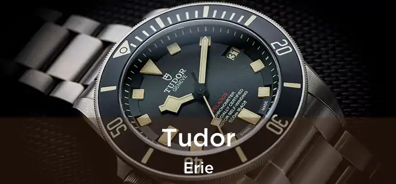  Tudor Erie